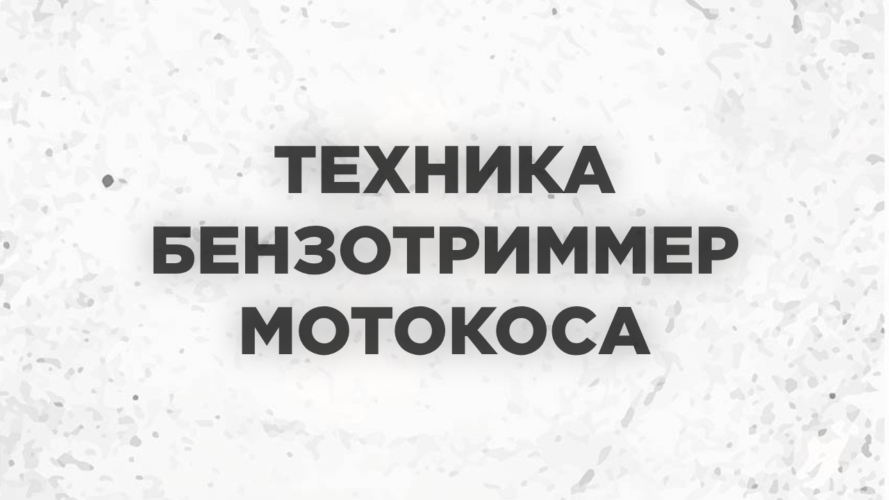 Главная