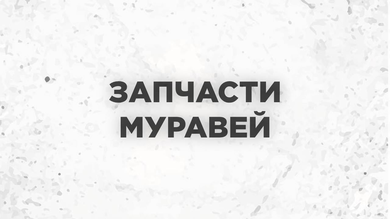 Главная
