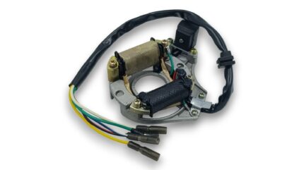 Генератор (магнето) TTR-125 (2 катушки)