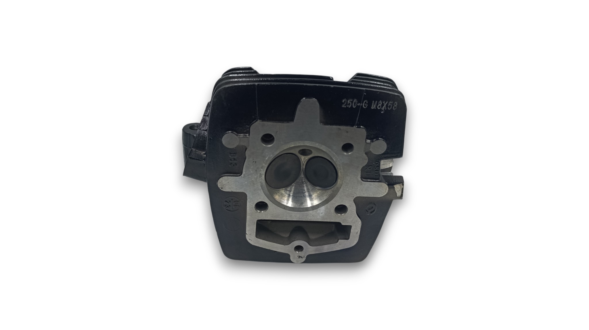 Головка CB-250 (TTR-250) (166) d=65.5 полностью в сборе (чёрная) Головка CB-250 (TTR-250) (166) d=65.5 полностью в сборе (чёрная)